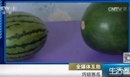 吃瓜不吐籽籽,揭秘瓜果种植与食用之道