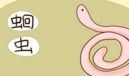 快乐吃瓜哒哒哒,揭秘娱乐圈幕后趣闻