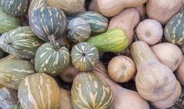 最纯女士吃瓜,最纯女士的瓜田奇遇记