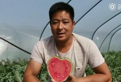 吃瓜心型,揭秘娱乐圈背后的真实故事