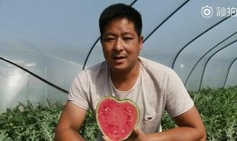 吃瓜心型,揭秘娱乐圈背后的真实故事