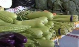 吃瓜中毒可以吃鸡蛋吗,鸡蛋能否成为解药？