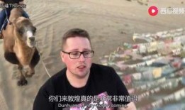 大叔吃瓜视频大全,揭秘娱乐圈幕后故事