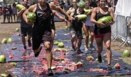 美国吃瓜节目,揭秘娱乐圈幕后真相与八卦风云