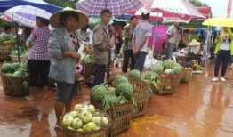 自贡幼师吃瓜,揭秘幼教行业背后的“瓜田”