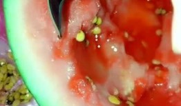 zz吃瓜不吐籽,揭秘娱乐圈那些不为人知的幕后故事