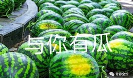 哪个学校有瓜吃,揭秘哪个学校有瓜吃的秘密