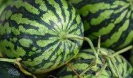 景宁消防吃瓜,一场意外引发的网络热议