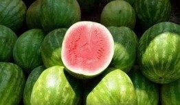 别的同学都在吃瓜,揭秘同学们的“吃瓜”热潮