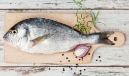 吃瓜小熊鱼,吃瓜小熊鱼的趣味食旅记