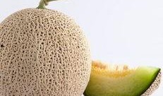 什么季节吃哈密瓜