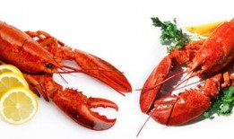 龙虾吃小瓜吗怎么吃的,揭秘它们如何享用小瓜