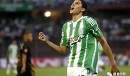 吃瓜追溯本源,探寻网络舆论的起源与演变