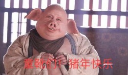 新年群众吃瓜视频,全民围观趣味视频