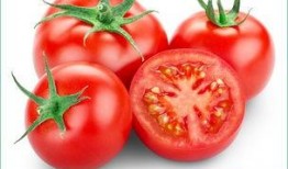 上朝吃瓜番茄,揭秘古代宫廷的番茄美食传奇