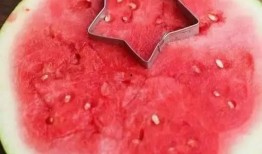 zz吃瓜不吐籽,揭秘娱乐圈那些不为人知的幕后故事