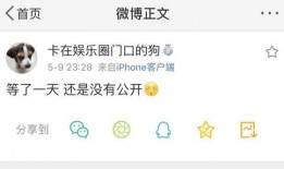 吃瓜无罪爆料,揭秘娱乐圈幕后真相