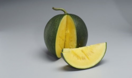 月下在线吃瓜,揭秘网络吃瓜文化的魅力与争议