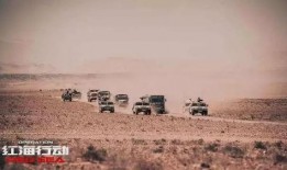 红海吃瓜,一场吃瓜群众的狂欢盛宴