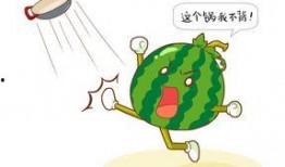 药流后可以吃瓜,瓜果蔬菜的合理选择