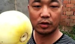 胖甜甜吃瓜,一场甜蜜的吃瓜盛宴