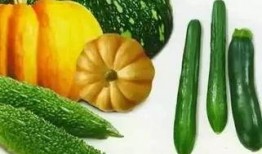 暮暮吃瓜,揭秘娱乐圈幕后故事