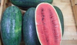 吃隔夜瓜,揭秘隔夜瓜的口感与营养