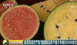 吃瓜网中国,中国网络舆论风向标