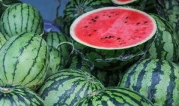 吃一万个瓜,一万个瓜背后的故事与启示