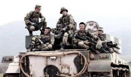 理性战狼深度吃瓜,揭秘吃瓜群众的狂欢与思考