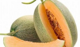 什么季节吃哈密瓜