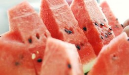 吃瓜吐籽籽,品味生活百态