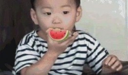 最新吃瓜视频表情,揭秘网络潮流新风向