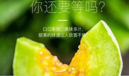 吃网红瓜的平台,各大平台瓜田里的新鲜事