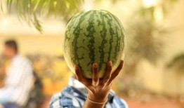 托儿瓜腾怎么吃