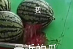 吃瓜群耗流量,揭秘网络社交的流量黑洞