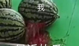 吃瓜群耗流量,揭秘网络社交的流量黑洞