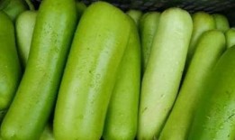 瓠瓜怎么吃最好吃,解锁最佳口感秘诀