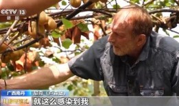 广西老表吃瓜事件,一场网络热议的乡村美食风波