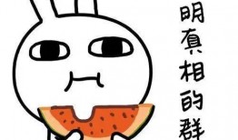 吃瓜没错,吃瓜没错，真相在此！