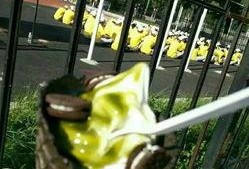 训练学姐吃瓜,揭秘校园里的那些“瓜”