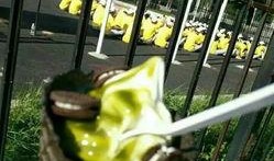 训练学姐吃瓜,揭秘校园里的那些“瓜”