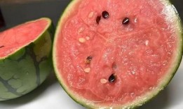 瓜可以怎么调着吃