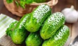 土瓜孕妇可以吃,营养与安全的双重保障