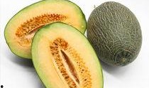 什么季节吃哈密瓜