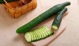 吃瓜群众有什么瓜可以吃,吃瓜群众必看的瓜界盛宴