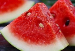 吃瓜群众寻姻缘,一场甜蜜的缘分之旅