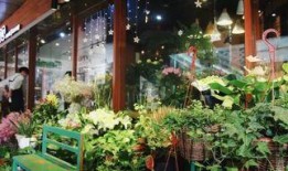 吃瓜最新事件花店,揭秘吃瓜事件背后的花店风云