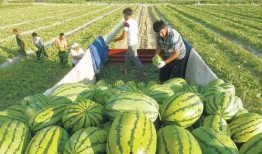 吃瓜影视汇图片,揭秘热门剧集幕后故事