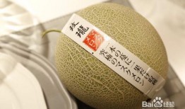 吃海南玫珑瓜网纹瓜声控,尽享海南网纹瓜美味之旅